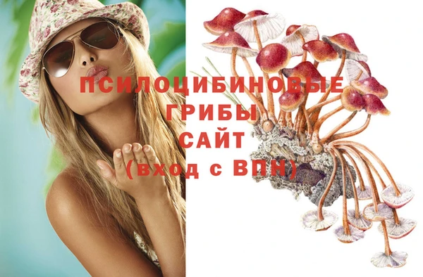spice Краснотурьинск
