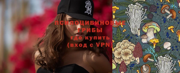 марки lsd Краснослободск