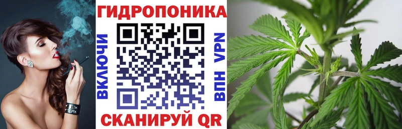 магазин  наркотиков  Михайловка  Конопля семена 